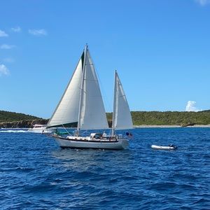 Meet your Posher, Mia